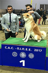 diagwnismos_page_5