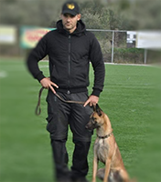 dogaround_training_page_3